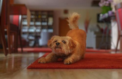 Uerzig Hotel | Hotel Zehnthof