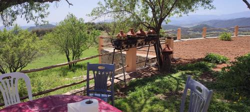 Maghraoua Apartment | Houcine gite