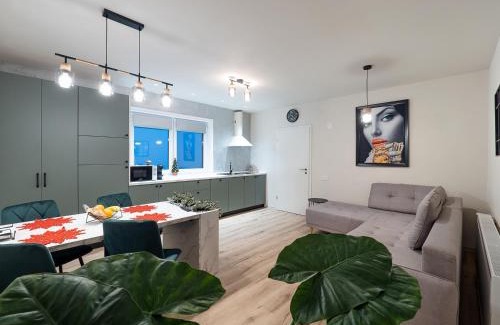 Sibiu Apartment | House Abi