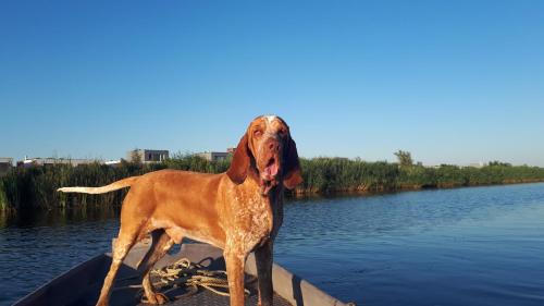 Amsterdam Apartment | House Akerdijk 5 persons 3 bedrooms