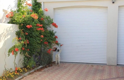 Puyravault House | House and PRIVATE heated swimming pool, completely enclosed by walls Pets