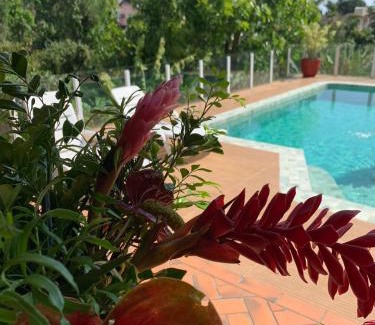 Cacupe House | House Flat Cacupé em Florianópolis