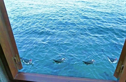 Combarro Villa | House in Combarro by the Sea