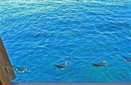 Combarro Villa | House in Combarro by the Sea