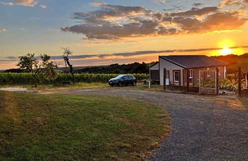 Faye-d'Anjou House | House in the heart of the vineyards with beautiful view of the Côteaux du Layon