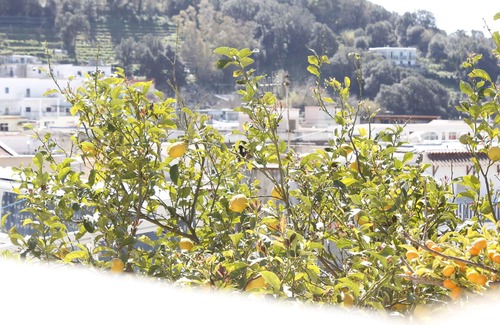 Miseno Apartment | House in the rock