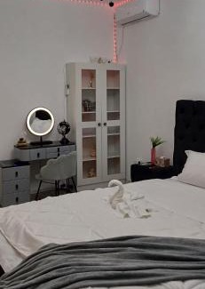 Vanatori House | House of Roses Galati