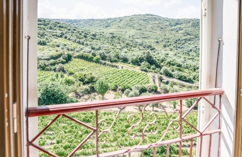 Modolo House | House of the Grapevine - Aurora