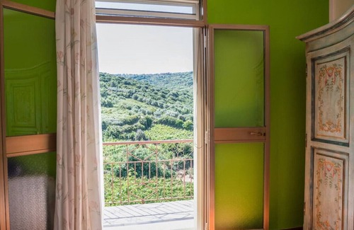 Birori House | House of the Grapevine - Giuliana