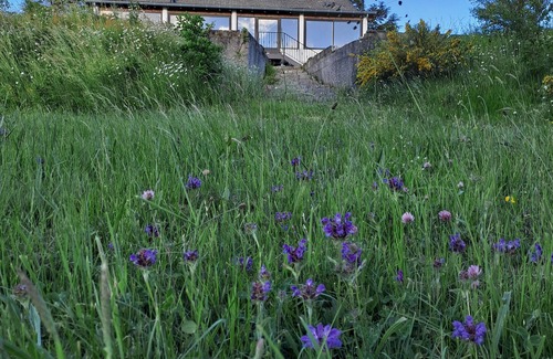 Pradelles-Cabardes House | House overlooking private lake in mid-mountain setting. Peace and quiet in the heart of nature!