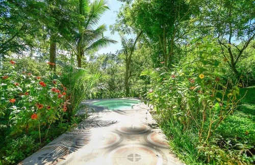 La Vega Province House | House under palm trees (pool and whirlpool included)
