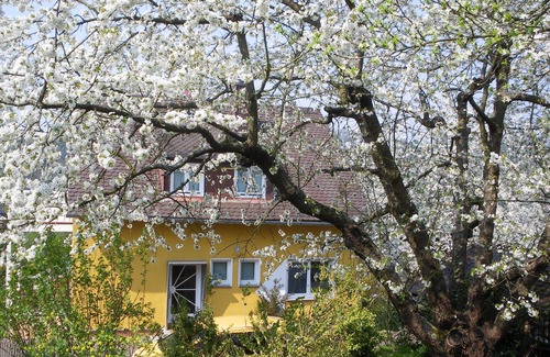 Villmar Apartment | House under the cherry tree, root, 80m from the Lahn
