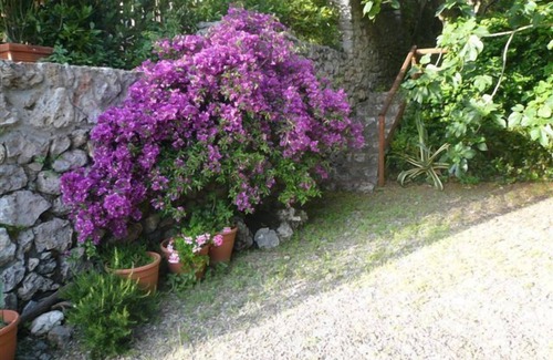 Ansedonia Apartment | house with garden splendid panorama