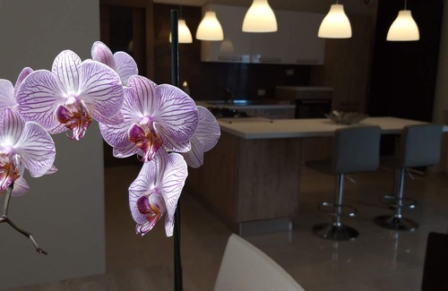 Ragusa Apartment | How to feel at home