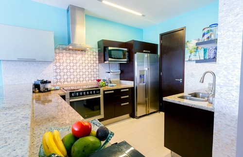 Downtown Condo | Huge Luxury Penthouse in the Heart of Playa - Oasis Chloe