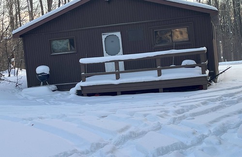 Ridgway Cabin | HUNTING: Nice Quiet 3-bedroom cabin in Ridgway, on top of 2,200ft Bootjack Mtn.