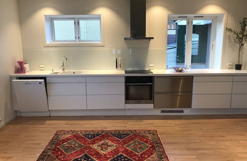 Porsgrunn House | Hus i sentrum. Gratis parkering og gangavstand til shopping, spisesteder +