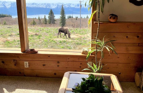 Fritz Creek House | Husky Ranch-Glacier & Bay Views! Charming Home-Gentle Wilderness-Serenity