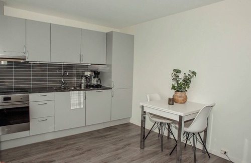 Nord-Lenangen Apartment | Hvalbu - Lyngen Experience Apartments