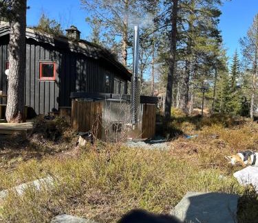 Vinje House | Hytta på Øyfjell