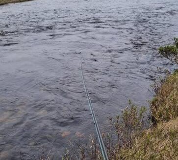 Polmak House | Hytte midt i finnmarks lakseparadis