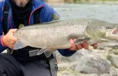 Polmak House | Hytte midt i finnmarks lakseparadis