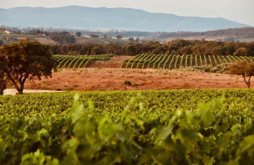 Magliano in Toscana House | I Puntoni Agriturismo