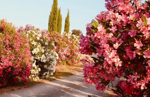 Magliano in Toscana House | I Puntoni Agriturismo