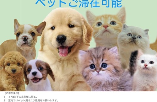 Toshima House | I want you to stay like you live with your pet 2L / Toshima-ku Tokyo