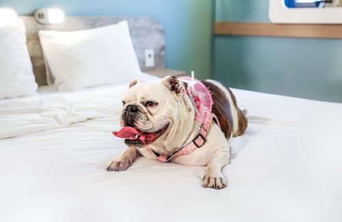 Sorocaba Hotel | ibis budget Sorocaba