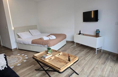 Aveiro Apartment | iConik Design Apartments