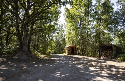 Maaseik House | Ideal for an active family vacation