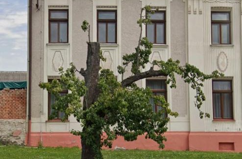 Senice na Hane Apartment | Ideal sleepover place Odrlice No 5