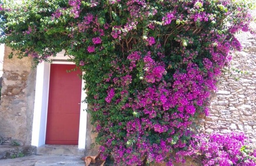 Poggio-Mezzana Apartment | Ideal to relax