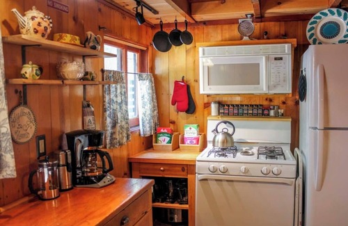 Idyllwild Cabin | Idyllcottage: Located in Historic District with Spa, Fireplace, AC, Fenced-Patio, and Pet-Friendly!