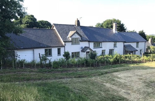 North Bovey Cottage | Idyllic Cottage in the heart of Dartmoor!