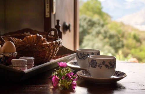 Tarbena Apartment | Idyllic holiday home in the midst of nature, discover authentic Spain |Almendra