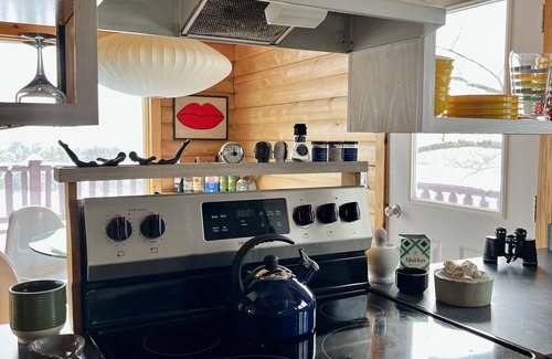 Hudson Cabin | Idyllic Retro Hudson Cabin