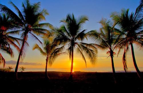 Puerto Jimenez Resort | Iguana Lodge Beach Resort