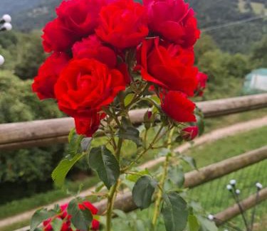Cordellon House | Il Borghetto di Pedevilla, antico casale