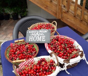 Torreglia Bed & Breakfast | Il Borgo dei Molini