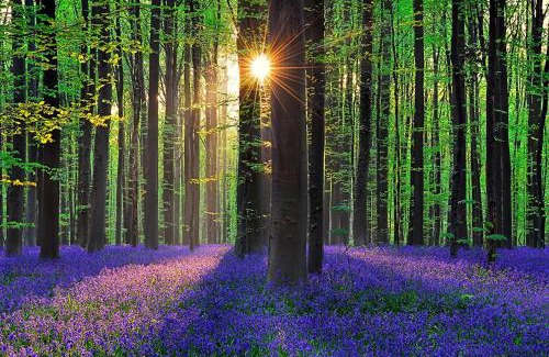 Huizingen Hotel | Il Casolare