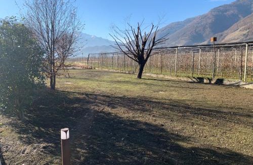 Villa di Tirano Apartment | IL COMO' DELLA CIVETTA - Nido della Civetta