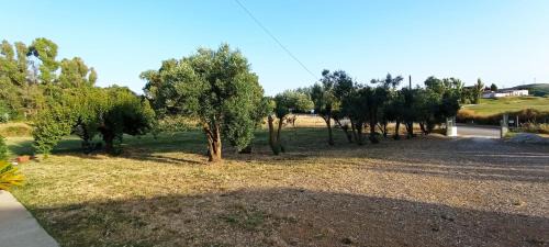 Florinas Bed & Breakfast | Il giardino del Sole