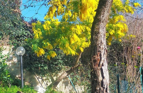 Lake Bracciano Apartment | Il Giardino di Lori