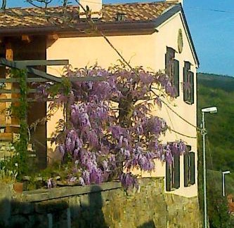 San Dorligo della Valle Bed & Breakfast | Il Glicine