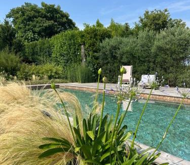 Castello di Godego Bed & Breakfast | Il Glicine - Natural BnB