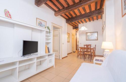 Lucca Historical Center Apartment | Il Nido - Immersi Nell'arte