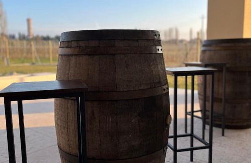 San Benedetto di Lugana Bed & Breakfast | Il Vigneto