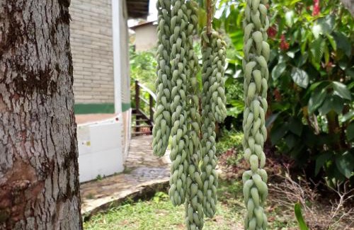 Pati Valley House | Ilha de Mato